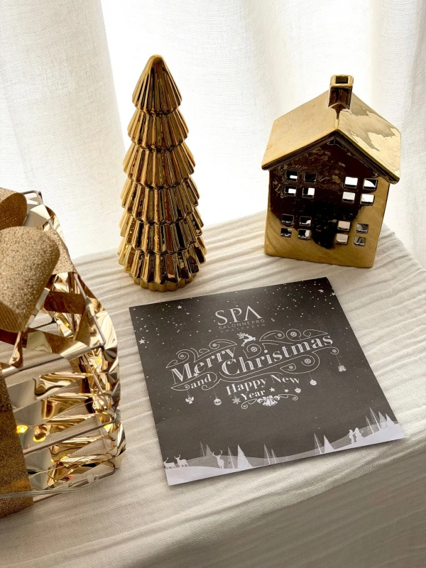 Gebruiksaanwijzing Christmas GIFT Masker